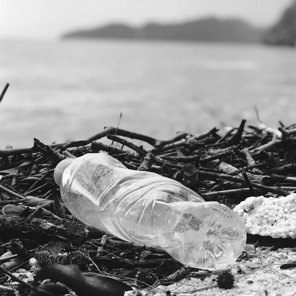 Plastic Pollution